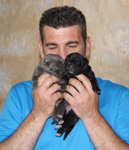 Happy Feet Pet Grooming 4