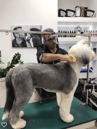 Happy Feet Pet Grooming 4