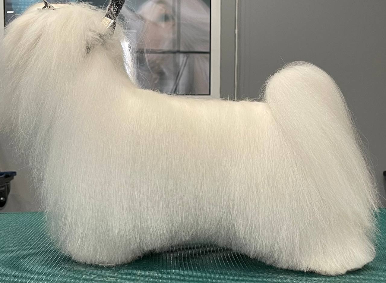 Happy Feet Pet Grooming 23