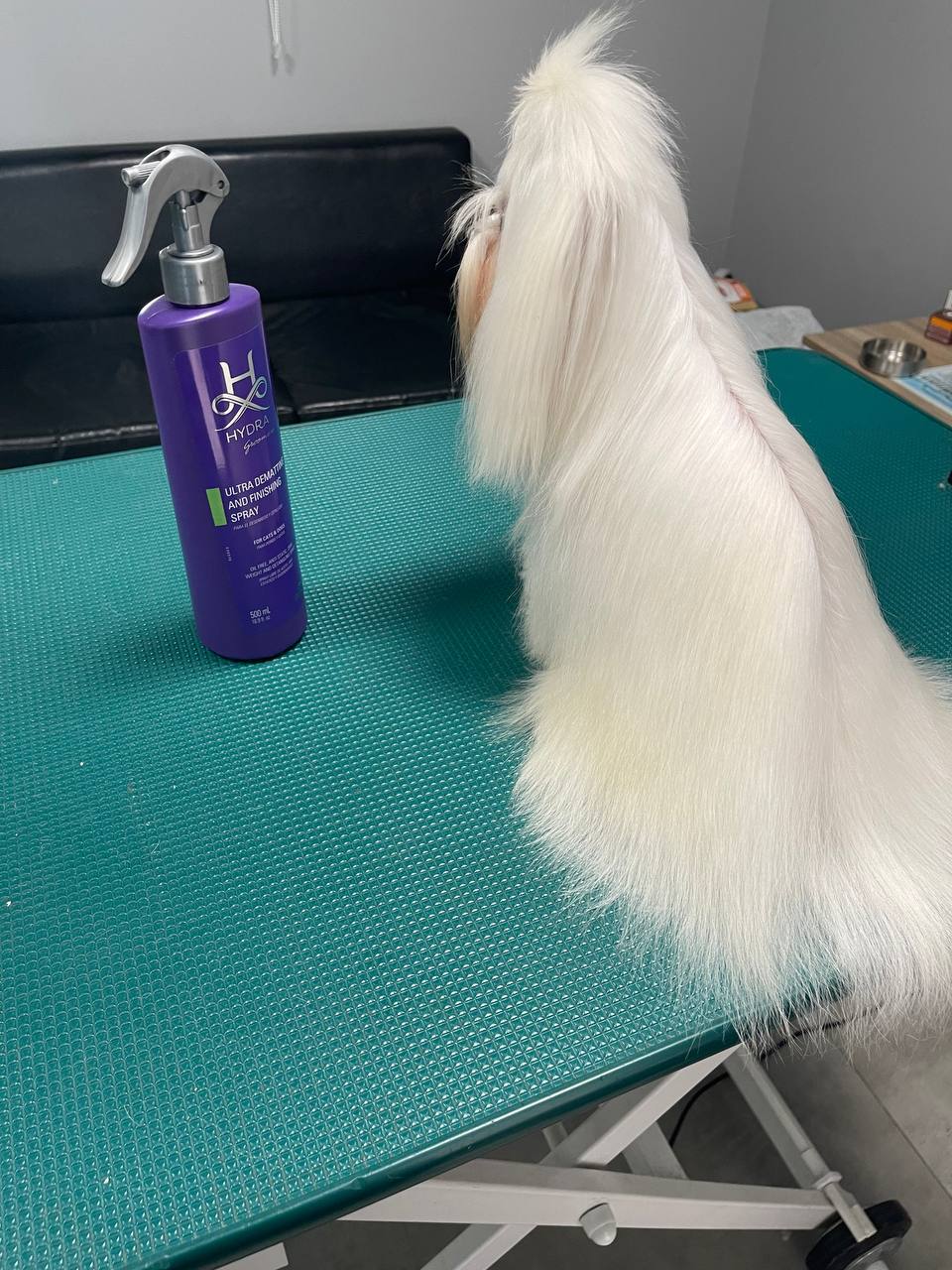 Happy Feet Pet Grooming 30