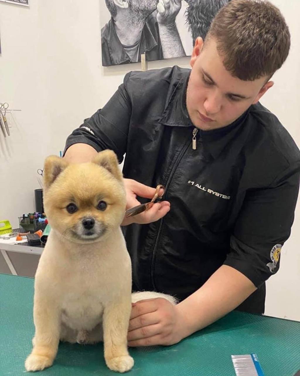 Happy Feet Pet Grooming 31