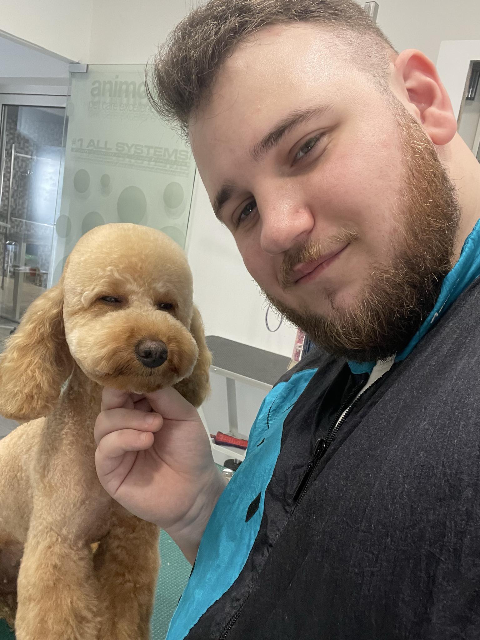 Happy Feet Pet Grooming 4