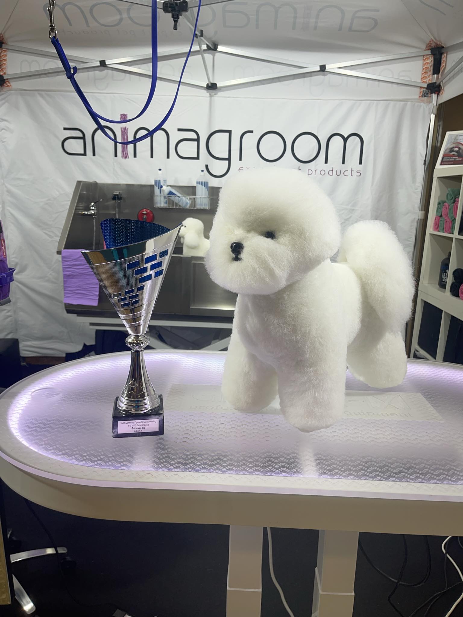 Happy Feet Pet Grooming 4