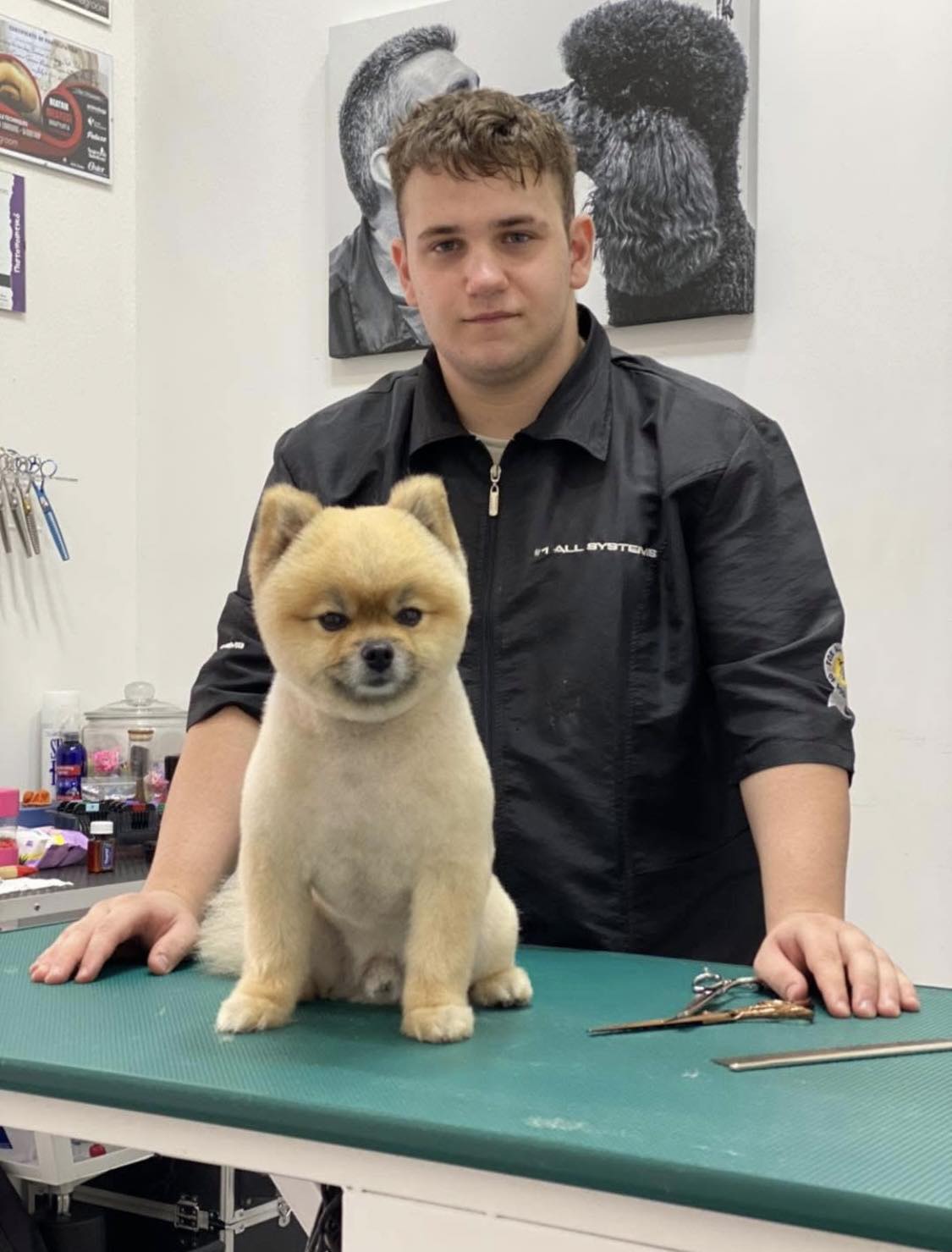 Happy Feet Pet Grooming 4