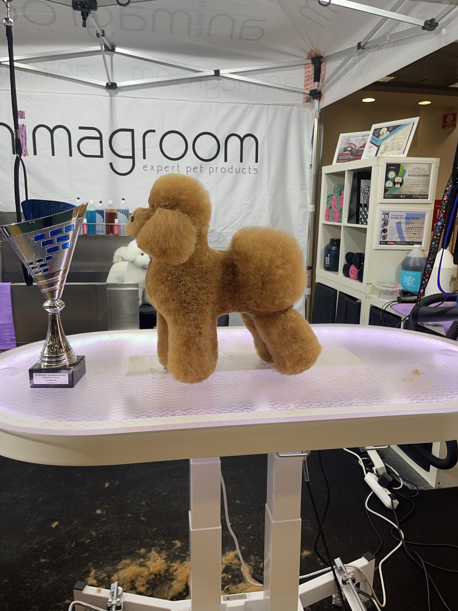 Happy Feet Pet Grooming 4