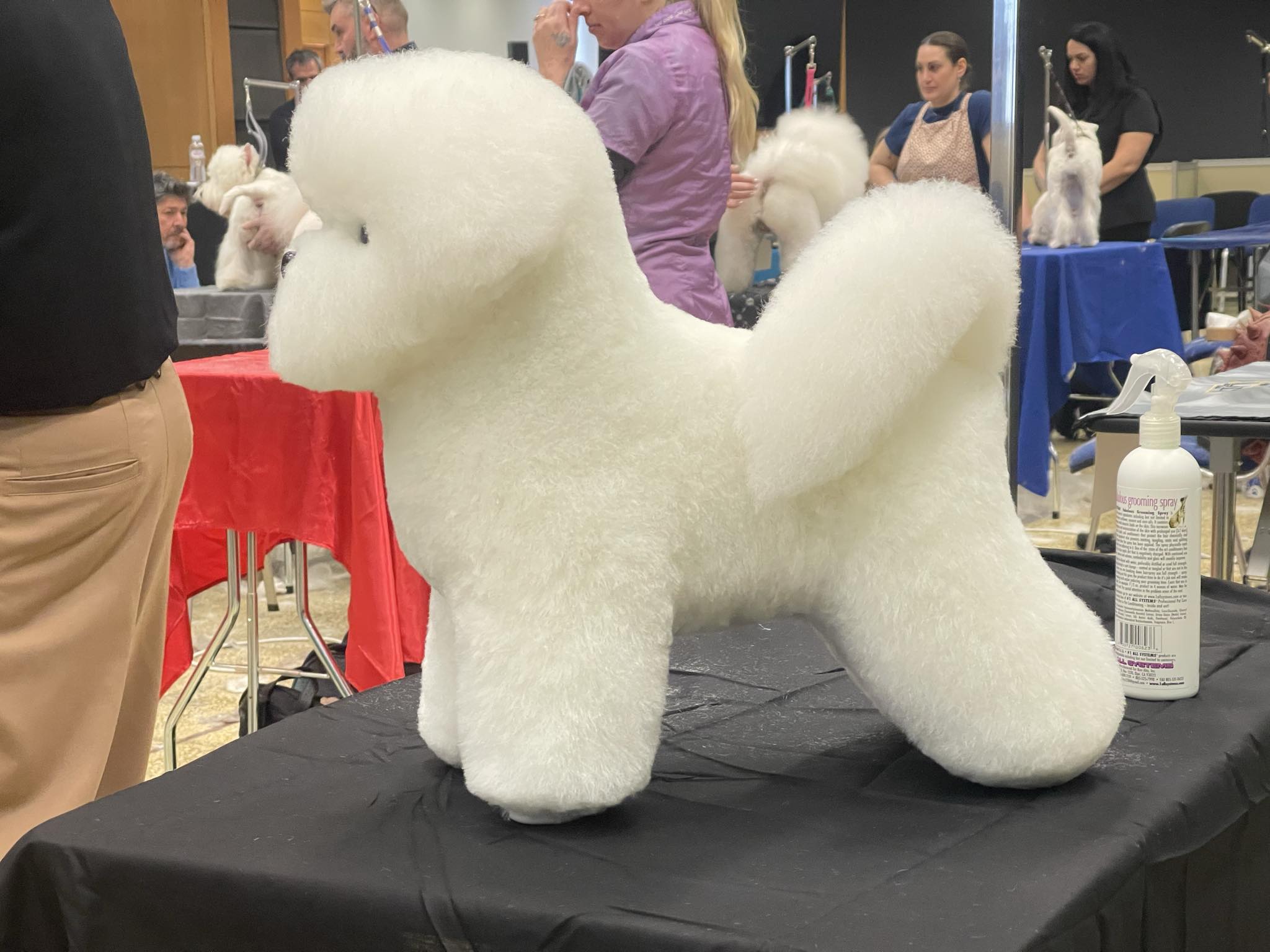 Happy Feet Pet Grooming 4