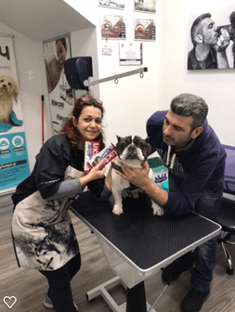 Happy Feet Pet Grooming 4